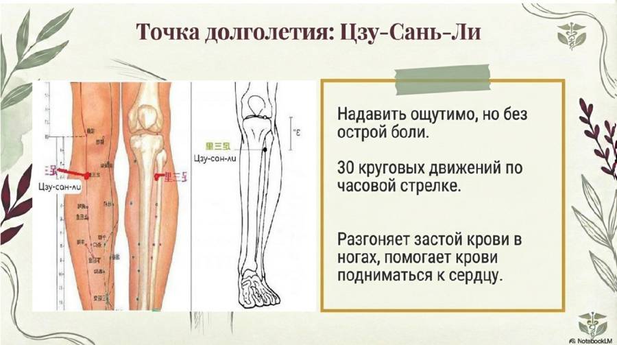 КРОВЬ КАК В 20 — страница 10