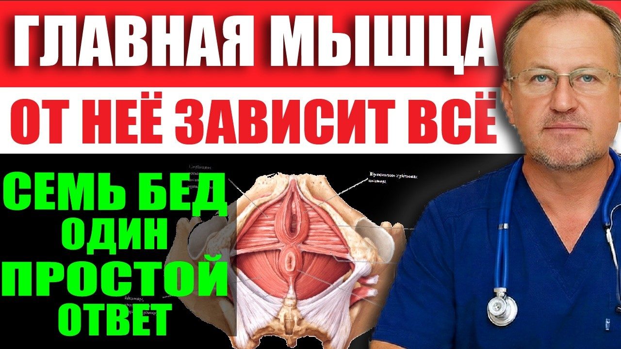 Обложка выпуска «Недержание, боли в спине, слабая потенция - всему виной ОДНА МЫШЦА! Лечим, не вставая с кровати»