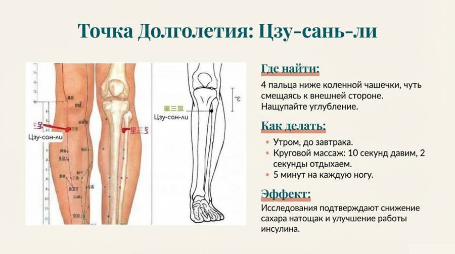 ИНСУЛИНОВАЯ ПЕРЕЗАГРУЗКА — страница 10
