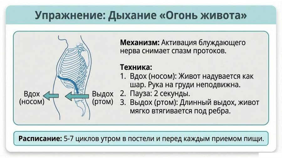 Моя поджелудочная здорова! — страница 8