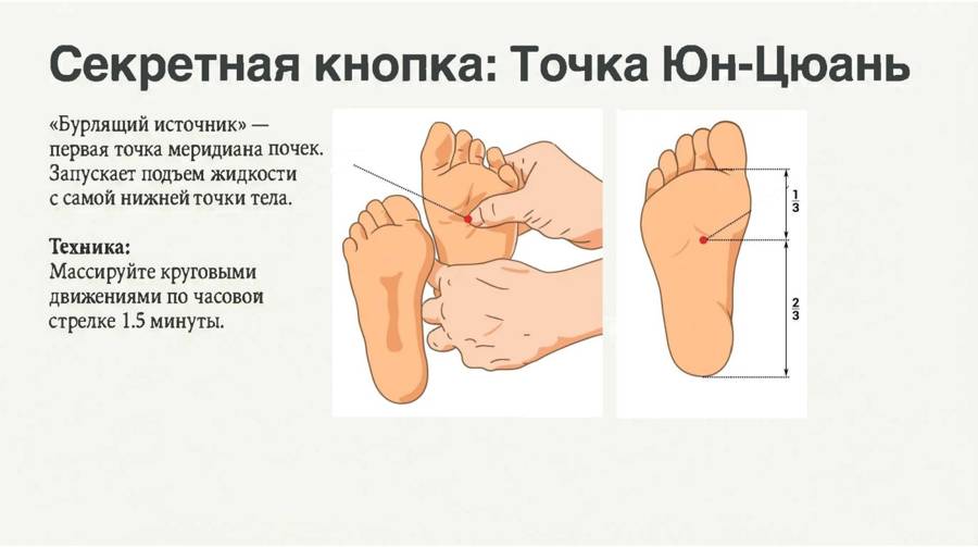 Лимфодренаж за 7 минут Протокол ВАВИЛОВА — страница 12