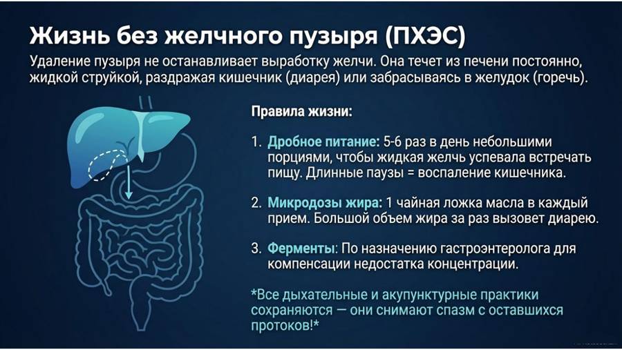 Снимаем застой желчи — страница 11