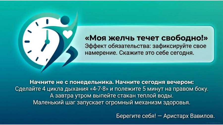 Снимаем застой желчи — страница 13
