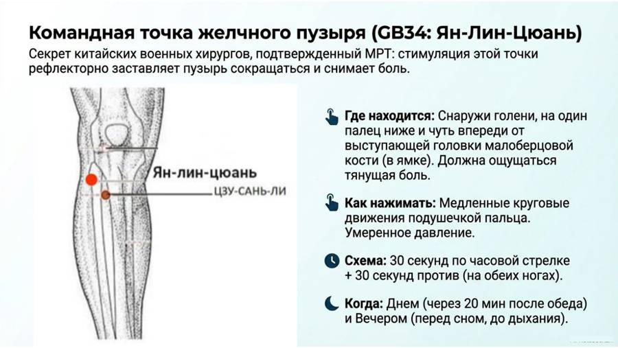 Снимаем застой желчи — страница 8