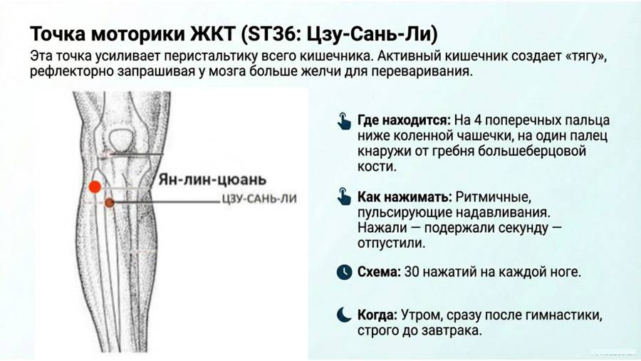 Снимаем застой желчи — страница 9